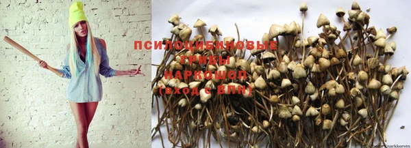трава Алексин